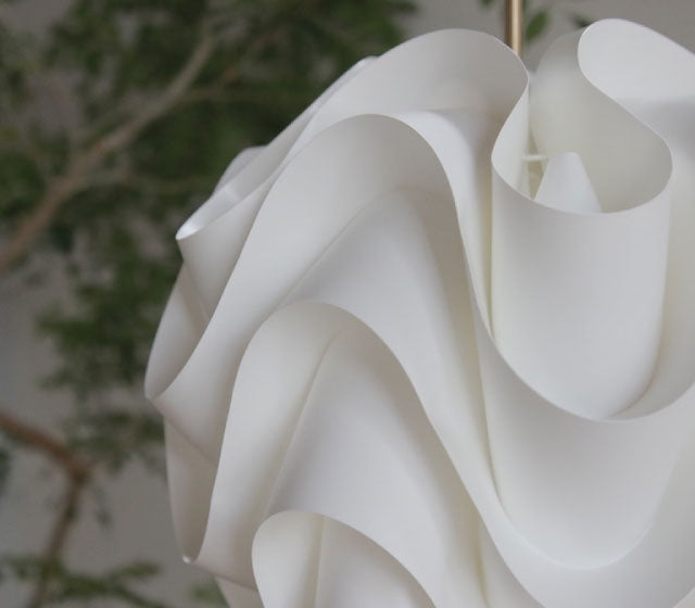 サイナスライン ５０周年アニバーサリーモデル | レ・クリント