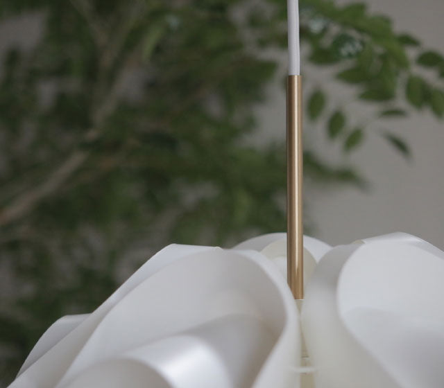 サイナスライン ５０周年アニバーサリーモデル | レ・クリント